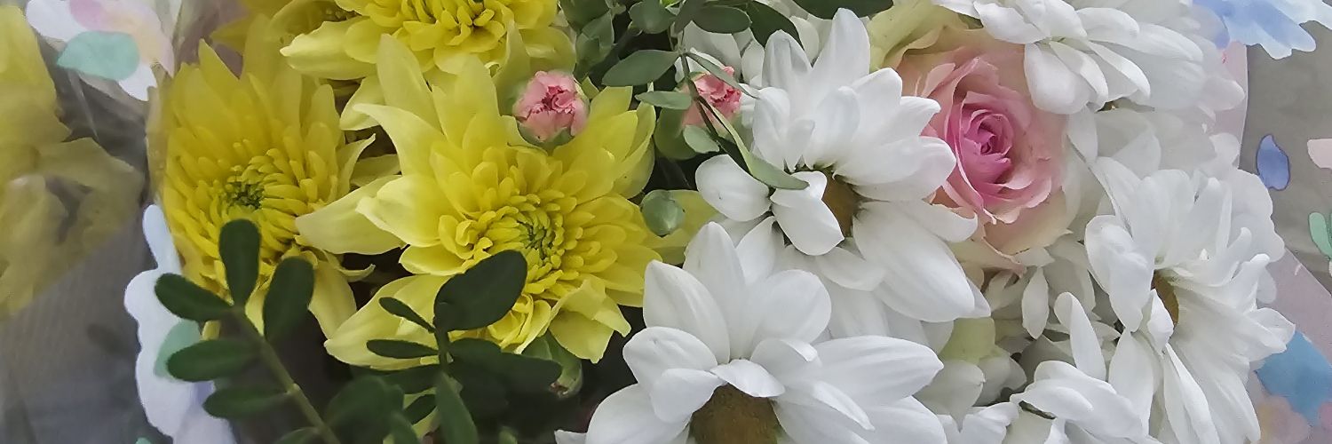 Miss__SOD's profile banner image