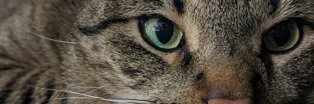 36demadbox's profile banner image