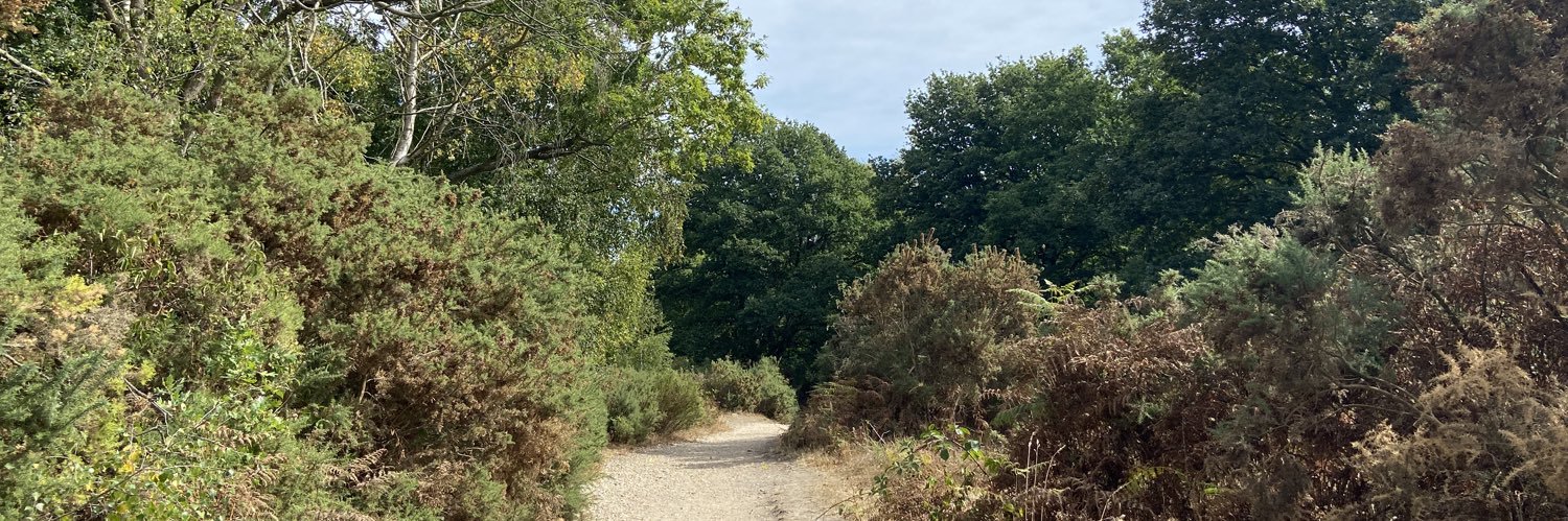 sophie wyllie banner