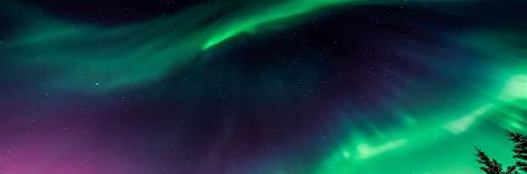 Arianna Paul's banner
