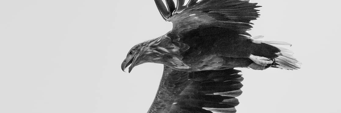 Rudjn's profile banner image