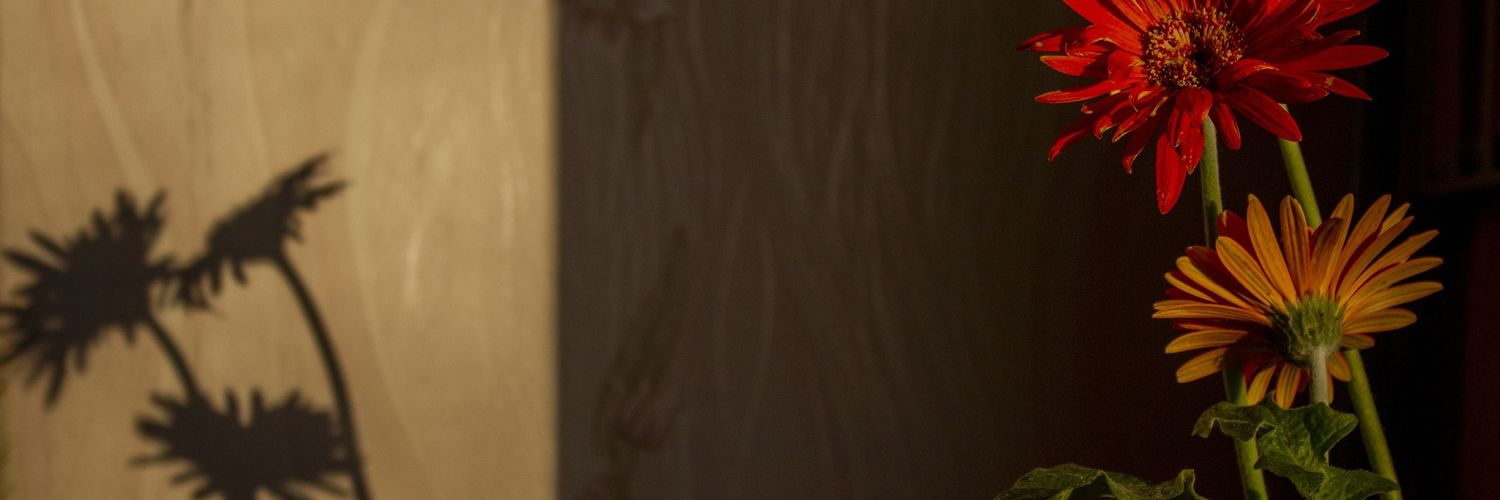 маленький шут в позолоченной клетке banner