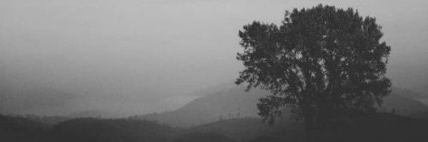 JMenhenitt's profile banner image