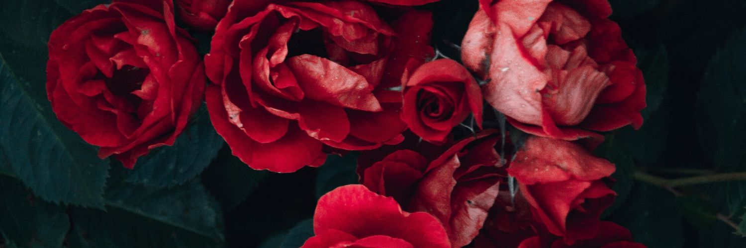 fraencessca's profile banner image