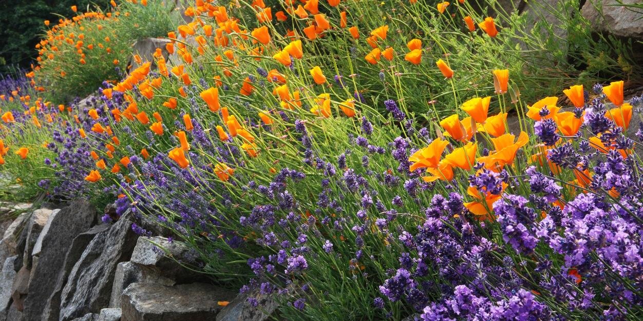 Garden In A Box banner