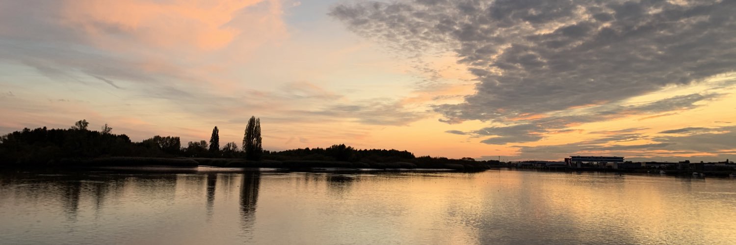 Delphine Van Belleghem banner