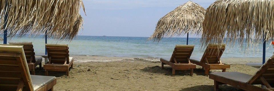 georgiapsaria's profile banner image