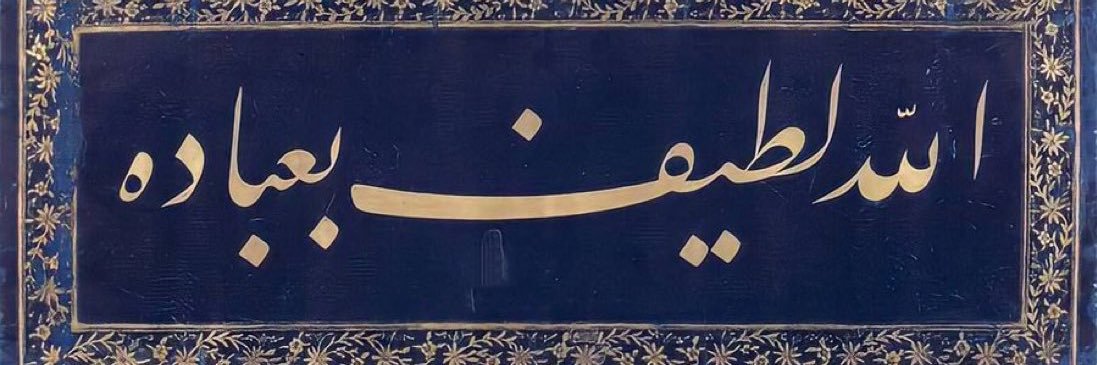 zeytonaa's profile banner image