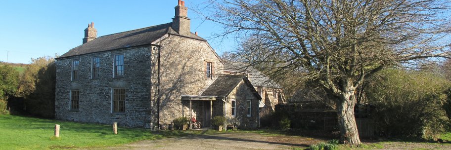 Crocadon's profile banner image