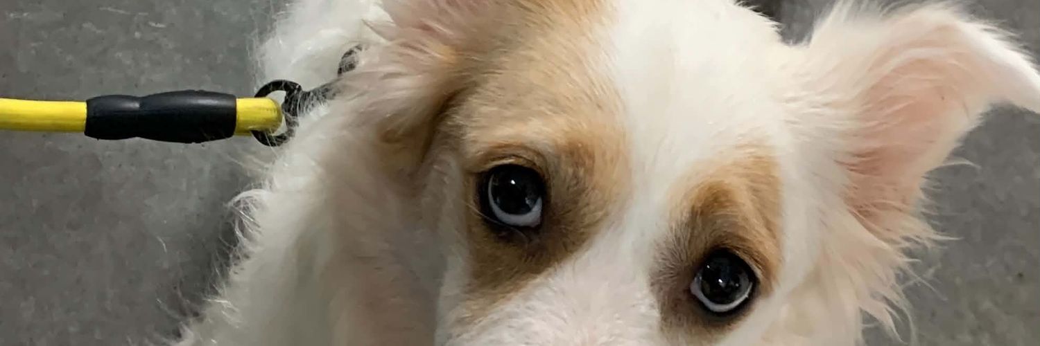 97MeGi__'s profile banner image