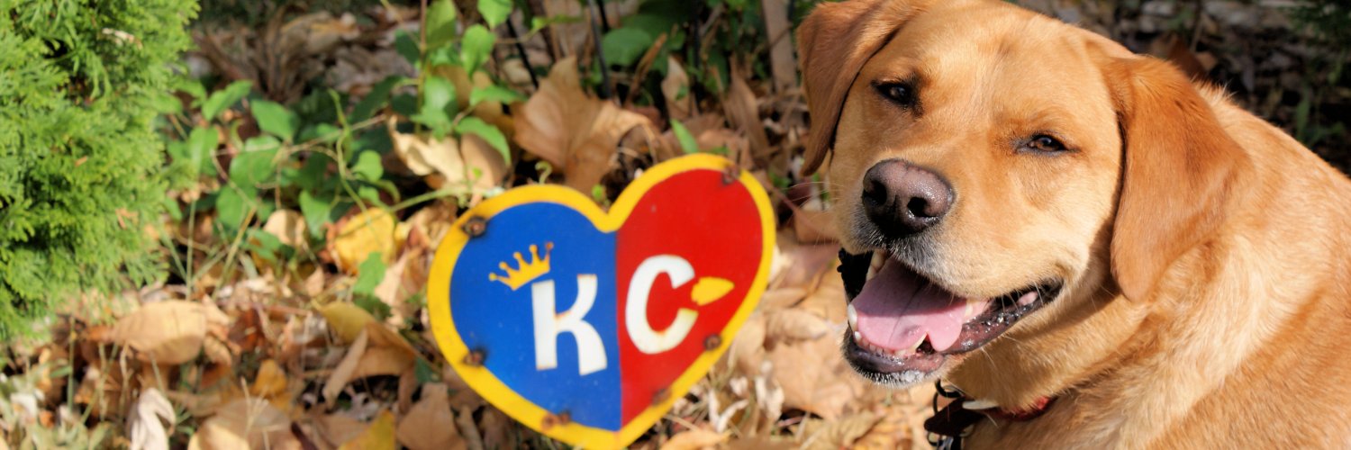 KSprincess78's profile banner image