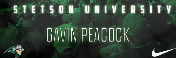 GavinPeacock8 Profile Banner