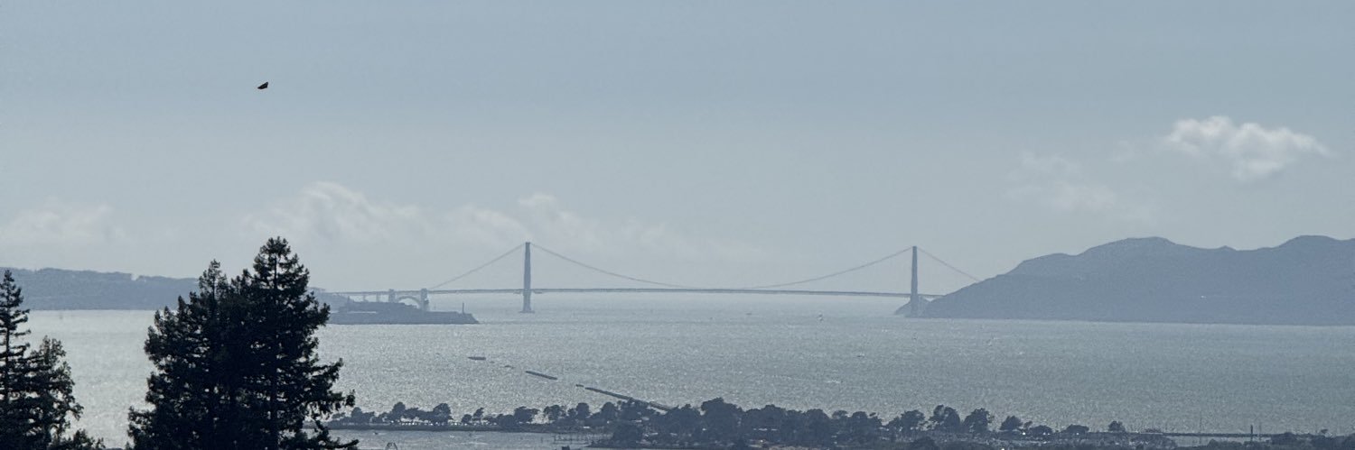 Fabricio Cotera banner