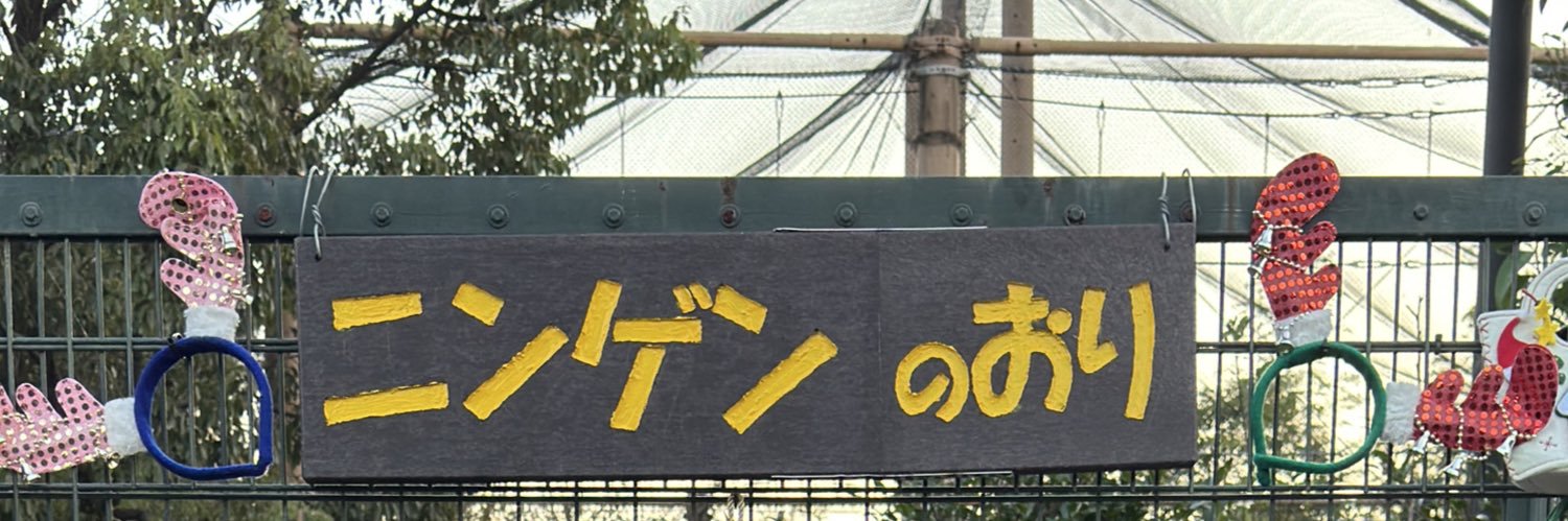 みーとたん🐰🥕 banner