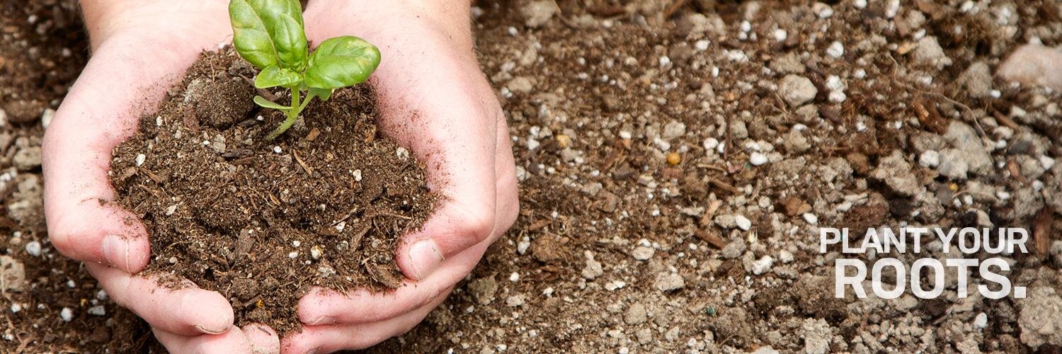 everydayroots's profile banner image