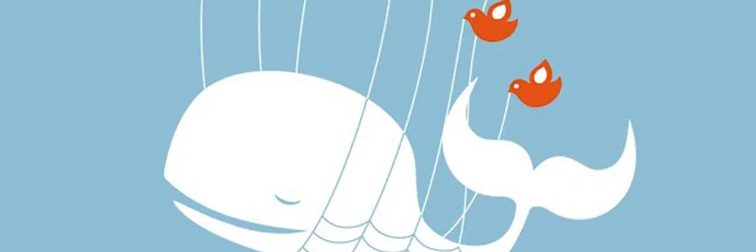 Lyre Calliope | 🦋@captaincalliope.blue banner