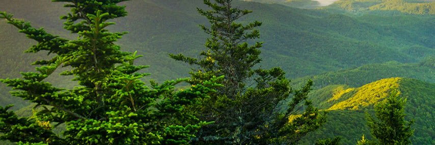 RoccaJoaco's profile banner image