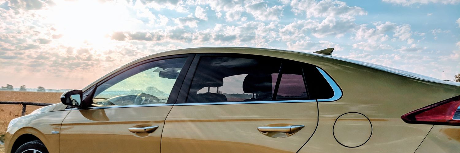 Daniela Hellwig banner