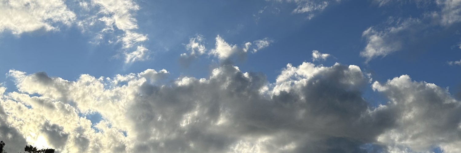 qpcrainqp's profile banner image