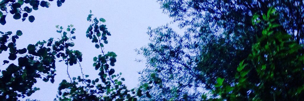 v_hurin's profile banner image