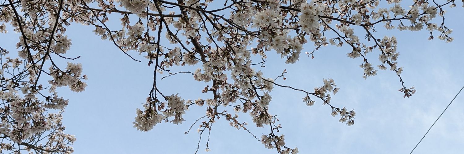 _nyago's profile banner image