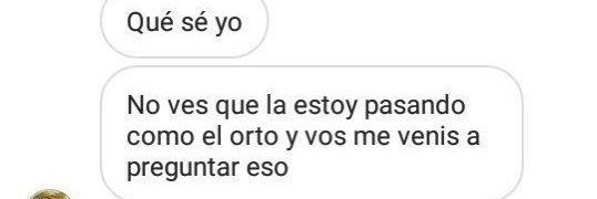 Alex /ᐠ｡ꞈ｡ᐟ\ banner