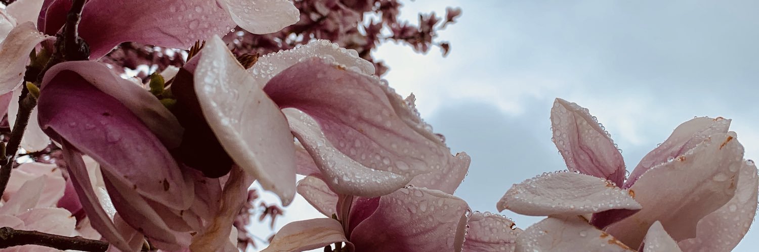 _Hislop's profile banner image