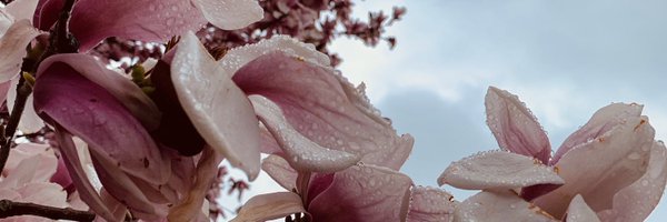 _Hislop Profile Banner