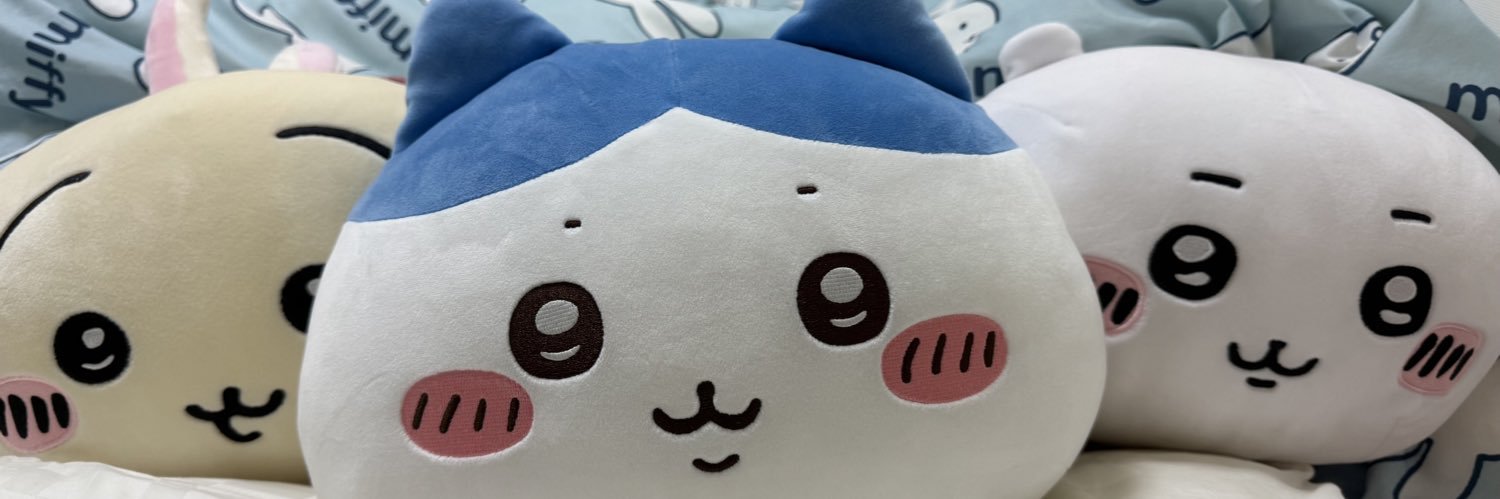 すち子🫰🐱💝 🤠🍊 banner