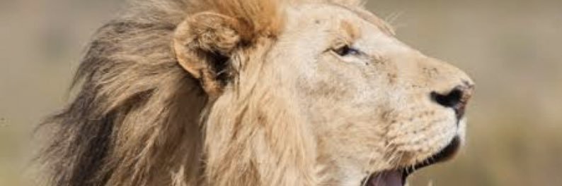 Anele274's profile banner image