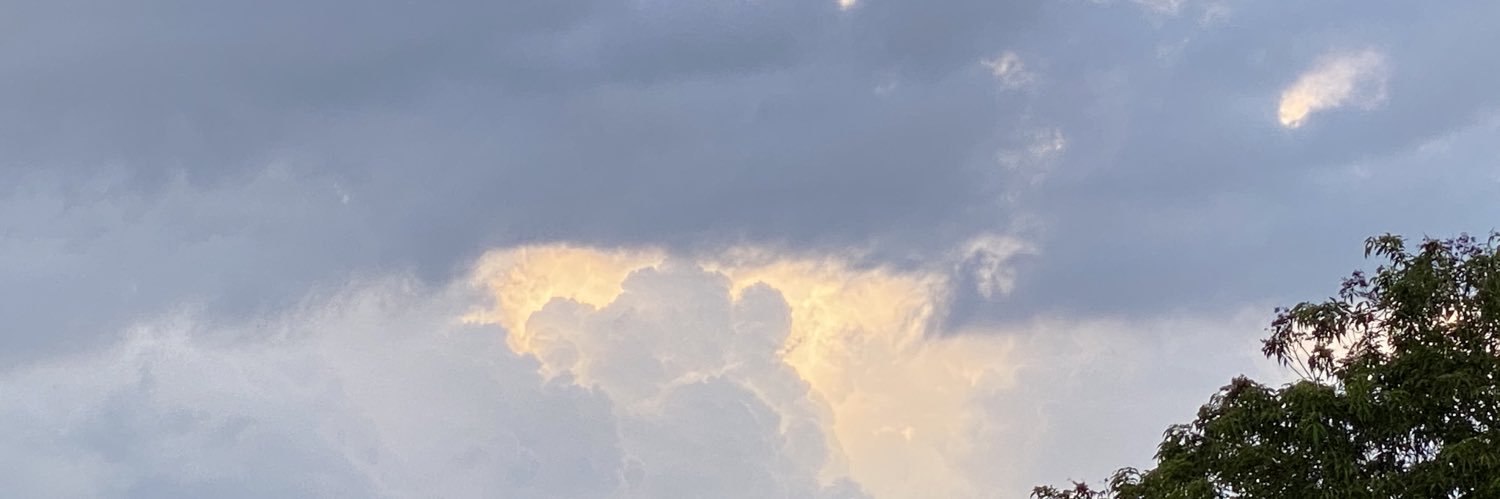 larraineBee's profile banner image