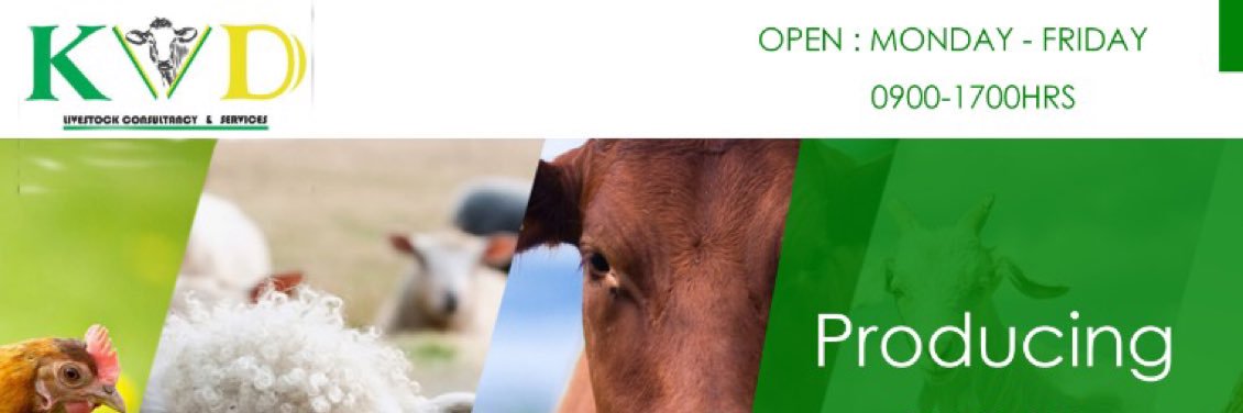 kvdconsultancy banner