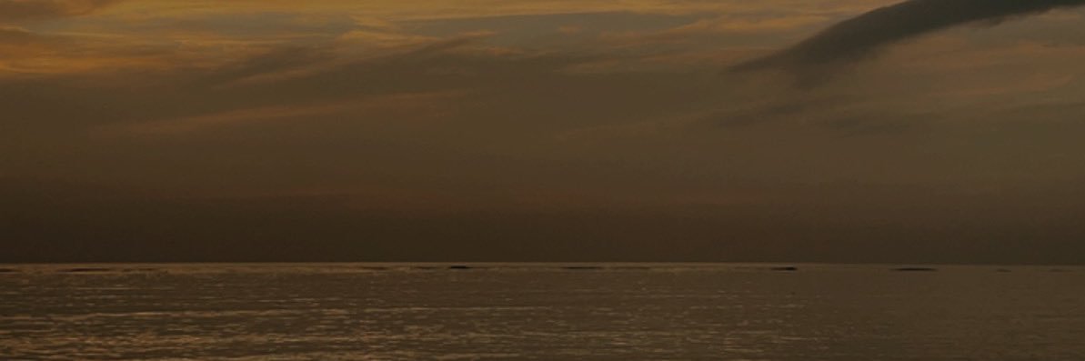 llvcz11's profile banner image