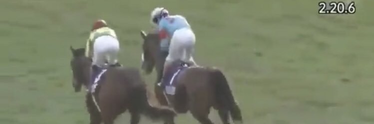 けろ💎🐴🌻 banner