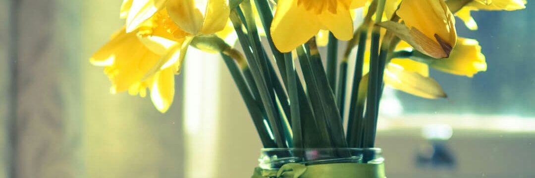 andrea_MSteer's profile banner image