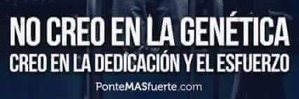 JosMartinez1978's profile banner image