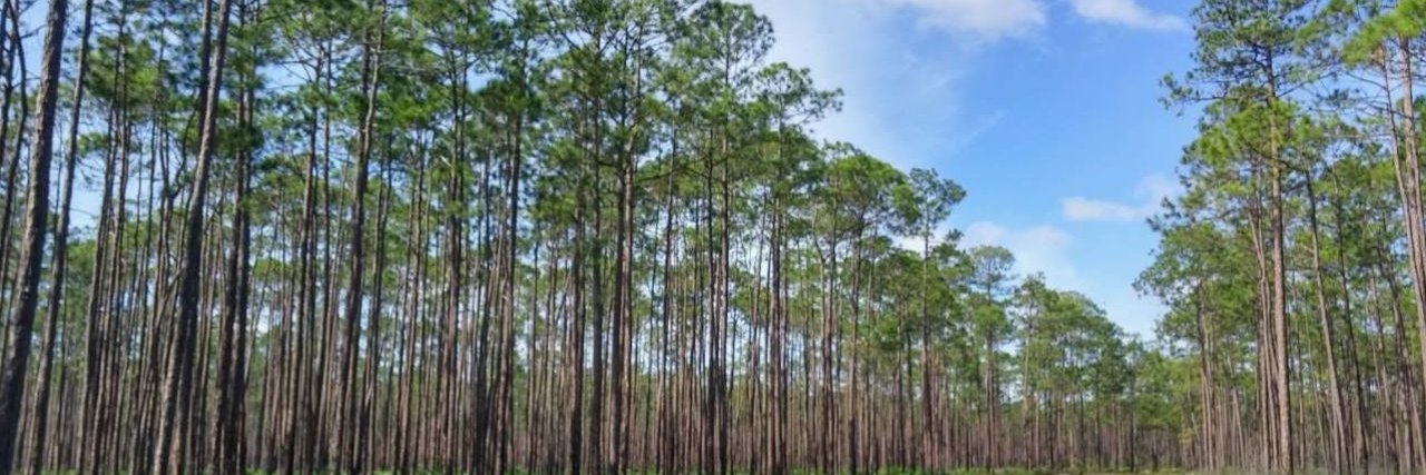 Florida Dept. of Agriculture & Consumer Services's banner