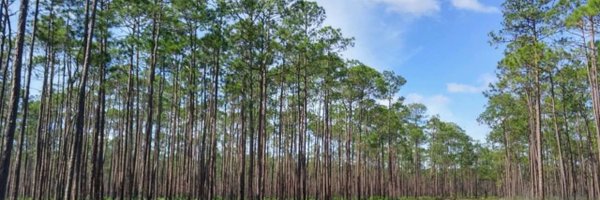 FDACS Profile Banner