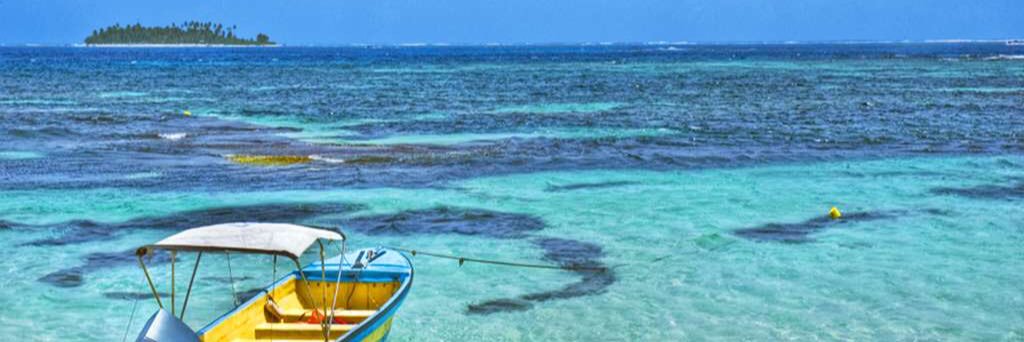 Carlos Cortes A. banner