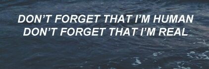 D. banner