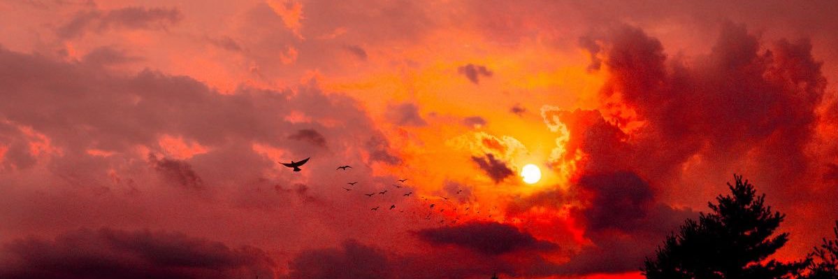 blythiier's profile banner image