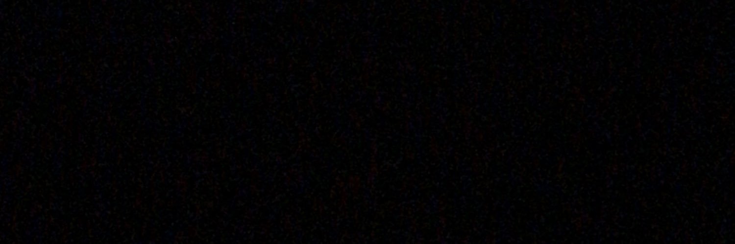 Puia Calin banner