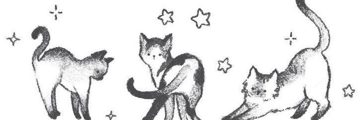cece ☆ banner