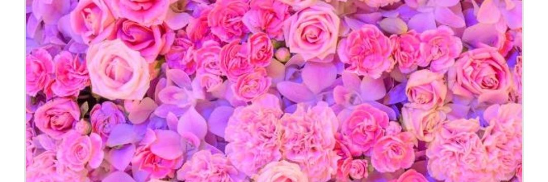 aJingda's profile banner image