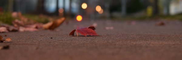 hikushalhere Profile Banner