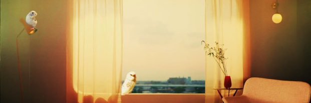 すう's banner