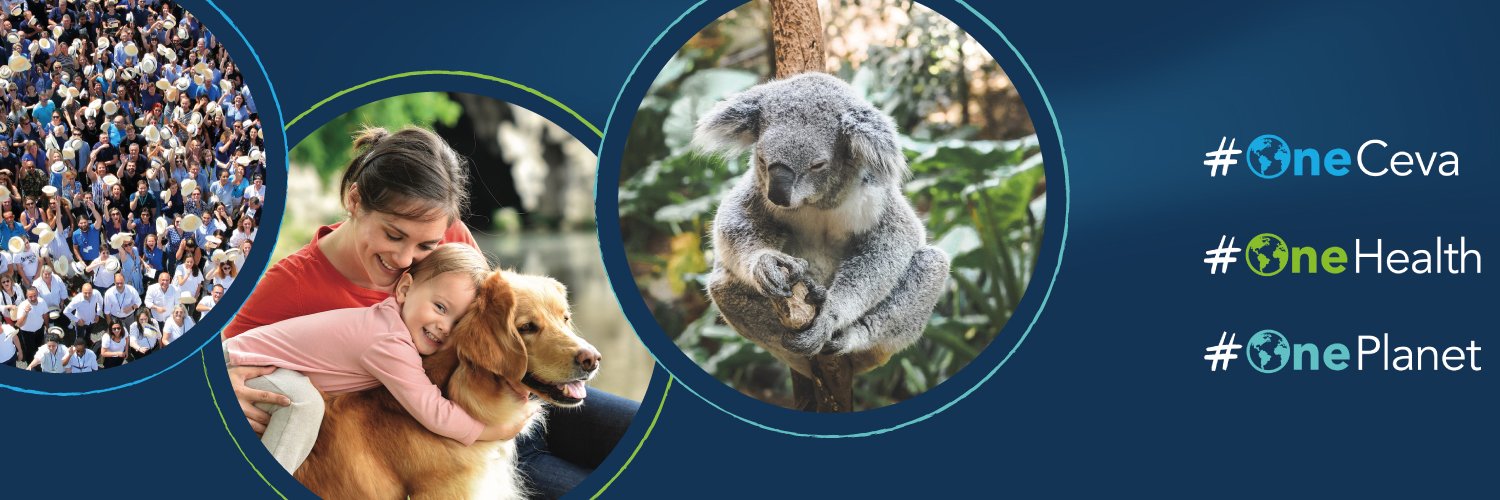 Ceva Cono Sur banner