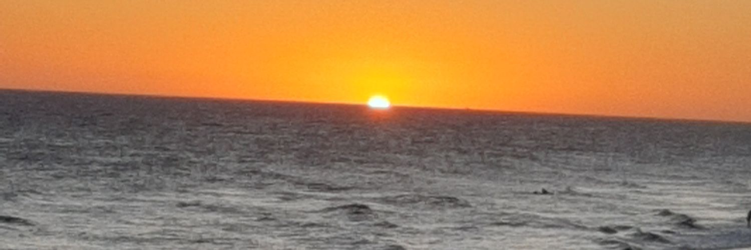 isasucarelli's profile banner image