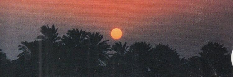 AnneEaoconnor's profile banner image