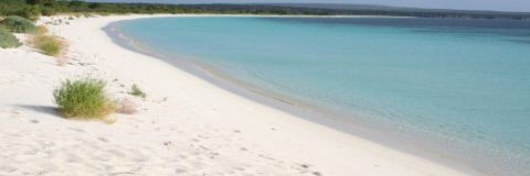 IFERRERAS's profile banner image